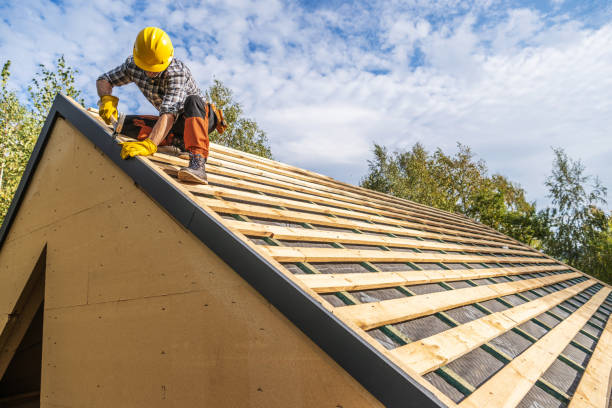 Best Roof Gutter Cleaning  in Apple Mountain Lake, VA